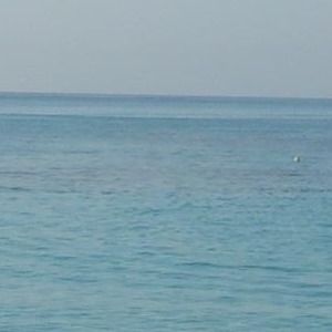 Meet your Posher, Susie